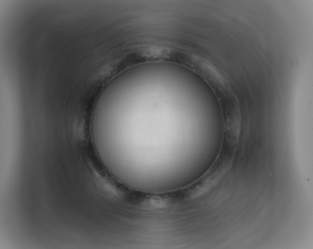 X0000111950416200908031202