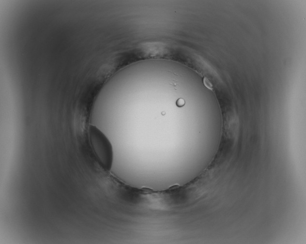 X0000111950417200908031202
