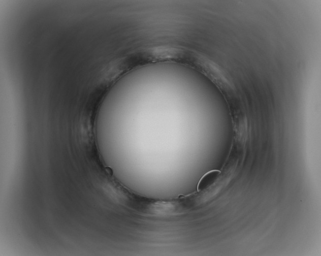 X0000111950418200908031202