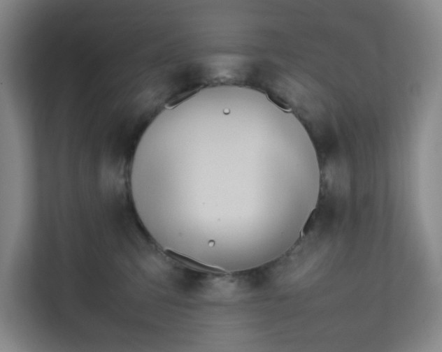 X0000111950423200908031202
