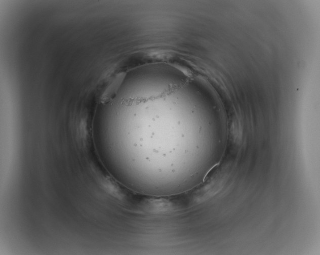 X0000111950424200908031202