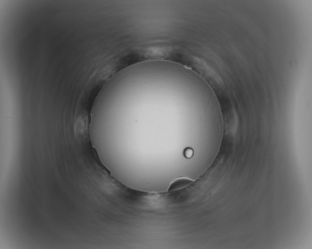 X0000111950425200908031202