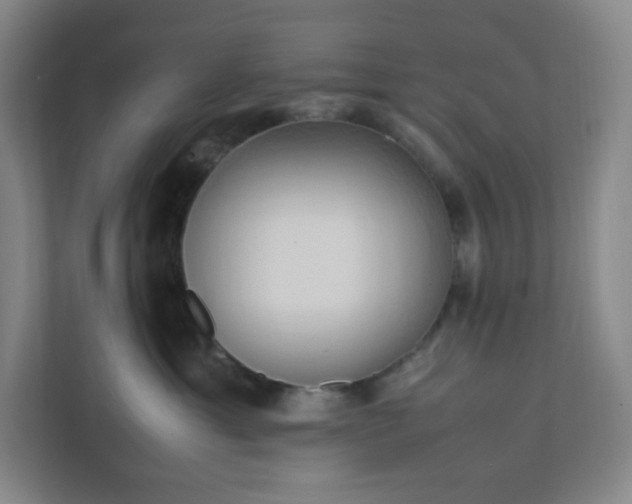X0000111950429200908031202