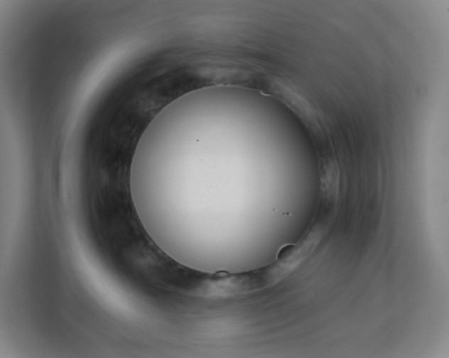 X0000111950430200908031202