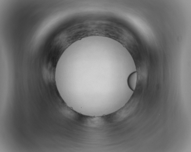 X0000111950431200908031202