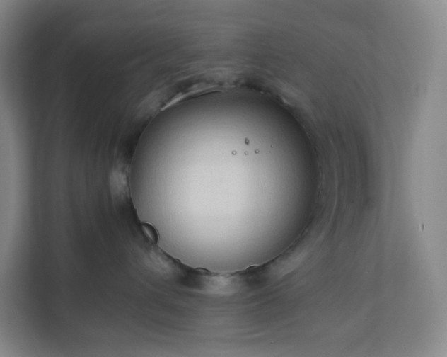 X0000111950432200908031202
