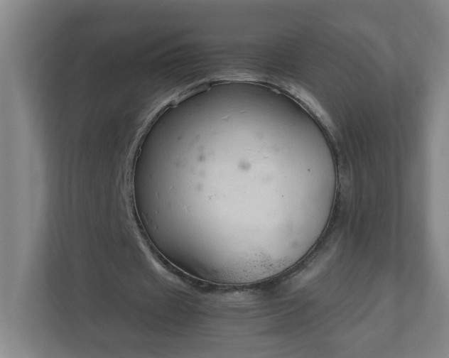 X0000111950433200908031201