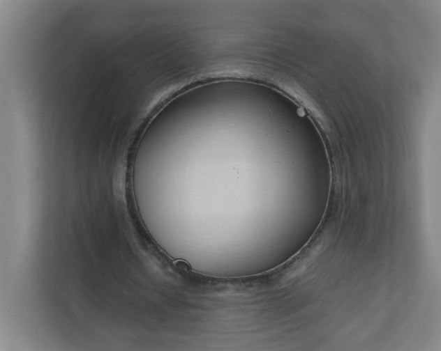 X0000111950434200908031201