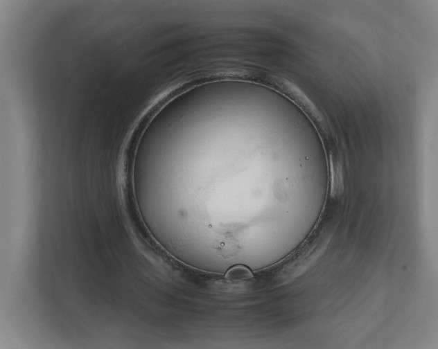 X0000111950435200908031201