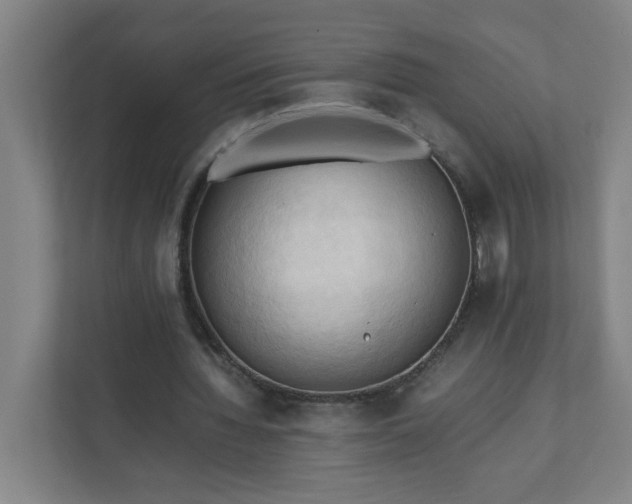 X0000111950436200908031201