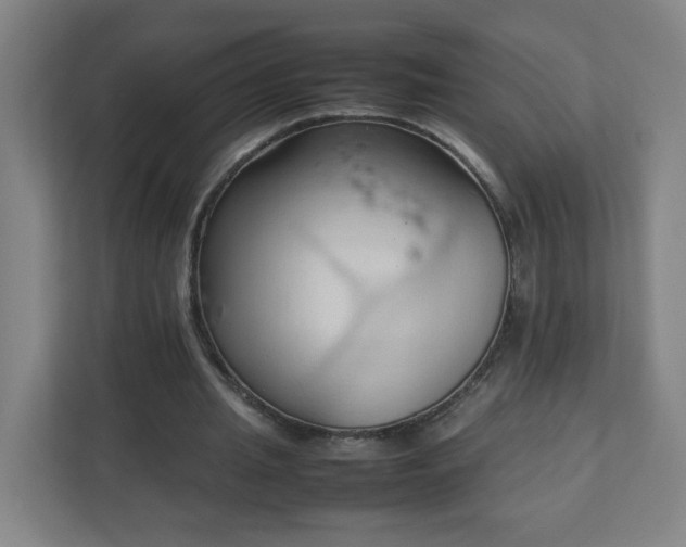 X0000111950437200908031201