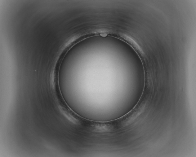 X0000111950439200908031201