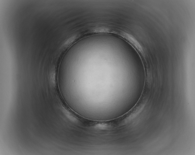 X0000111950441200908031201