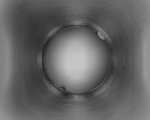 X0000111950442200908031201