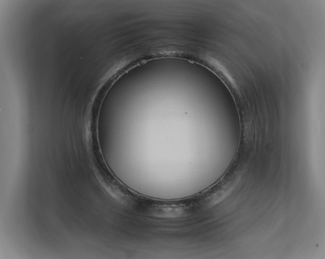 X0000111950443200908031201