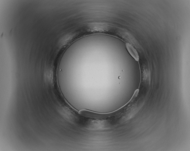 X0000111950444200908031201