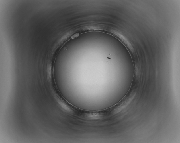 X0000111950445200908031201