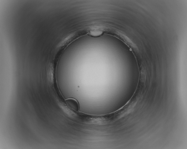 X0000111950446200908031201