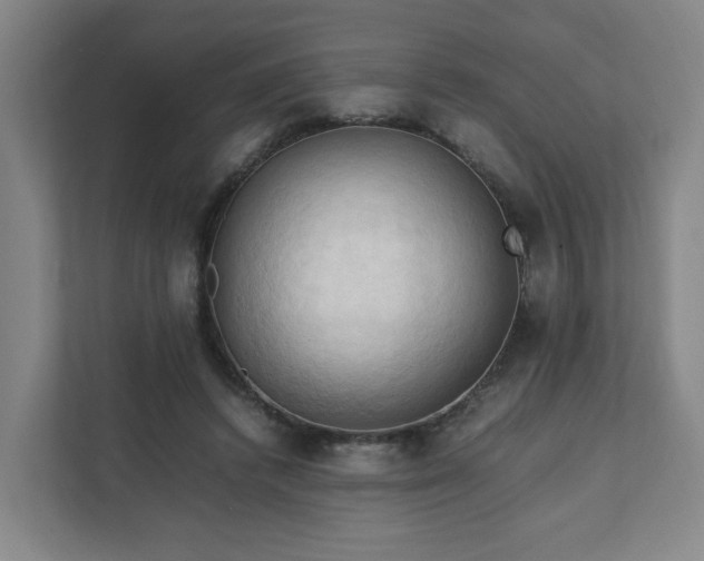 X0000111950448200908031201