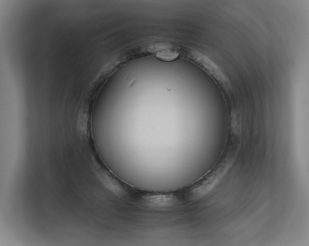X0000111950449200908031201
