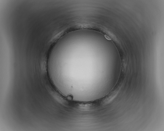 X0000111950450200908031201