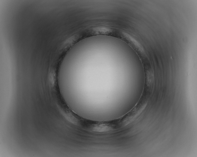 X0000111950451200908031201
