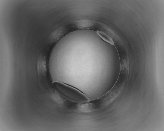 X0000111950452200908031201