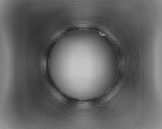 X0000111950454200908031201