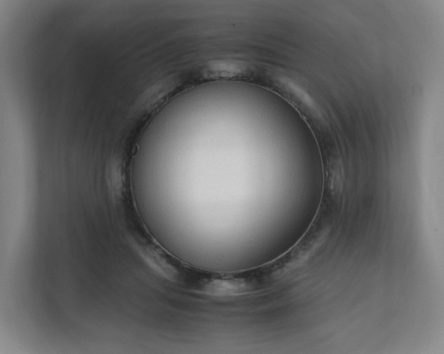 X0000111950455200908031201