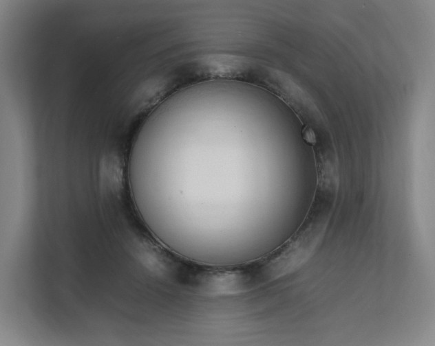 X0000111950456200908031201