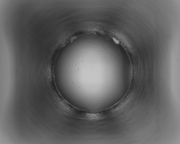 X0000111950457200908031201