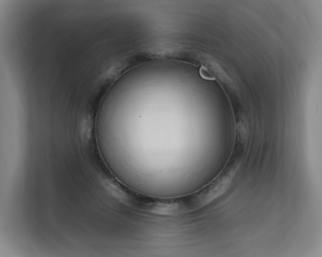 X0000111950458200908031201