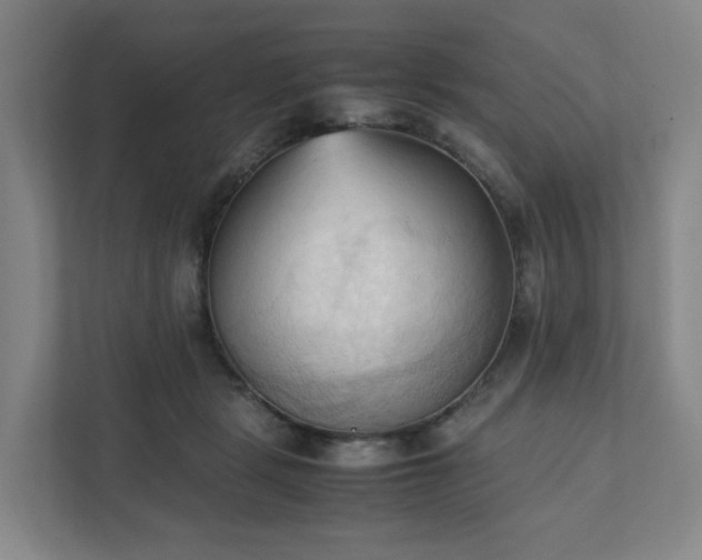 X0000111950461200908031201