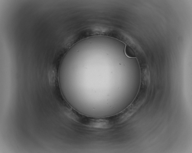 X0000111950463200908031201