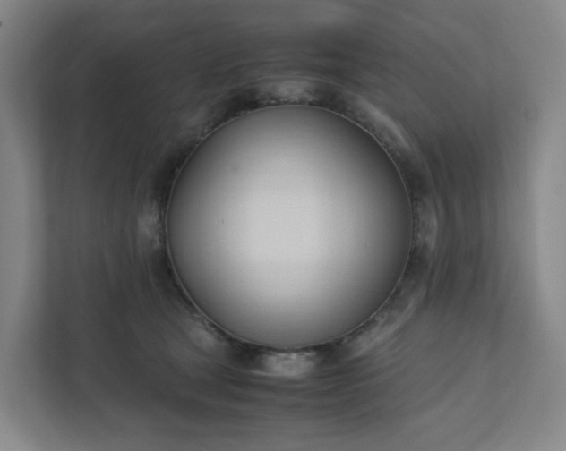 X0000111950465200908031202