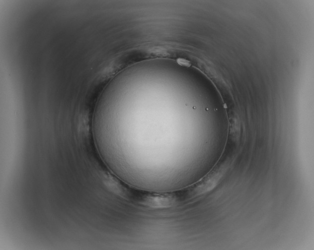 X0000111950466200908031202