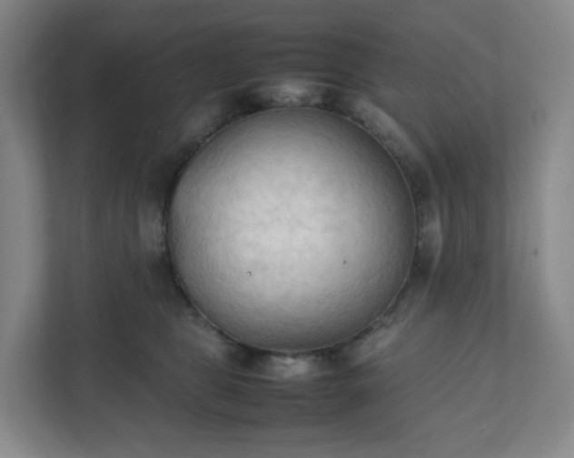 X0000111950469200908031202