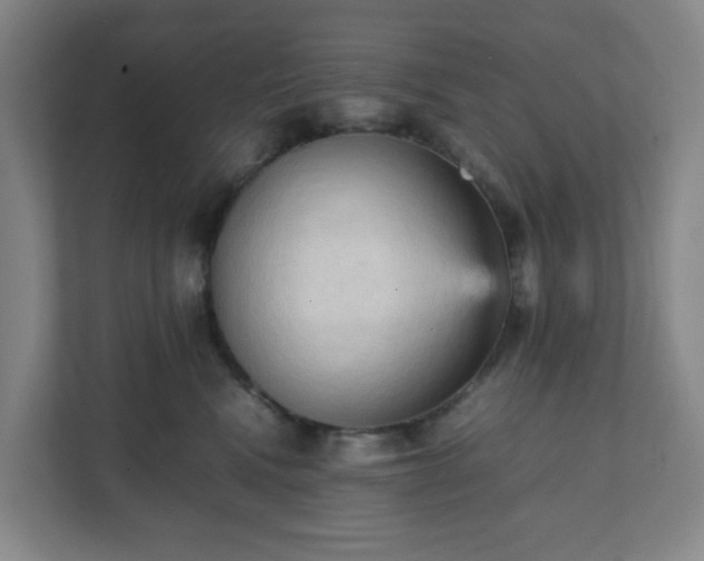 X0000111950472200908031202