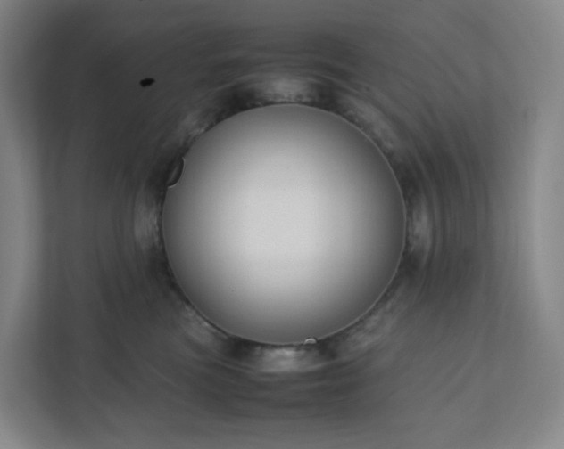 X0000111950473200908031202