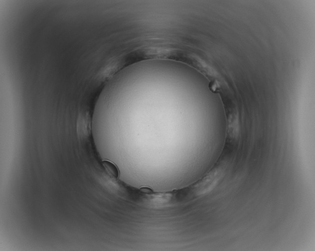 X0000111950474200908031202