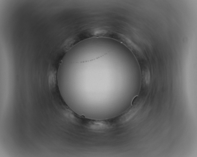 X0000111950475200908031202