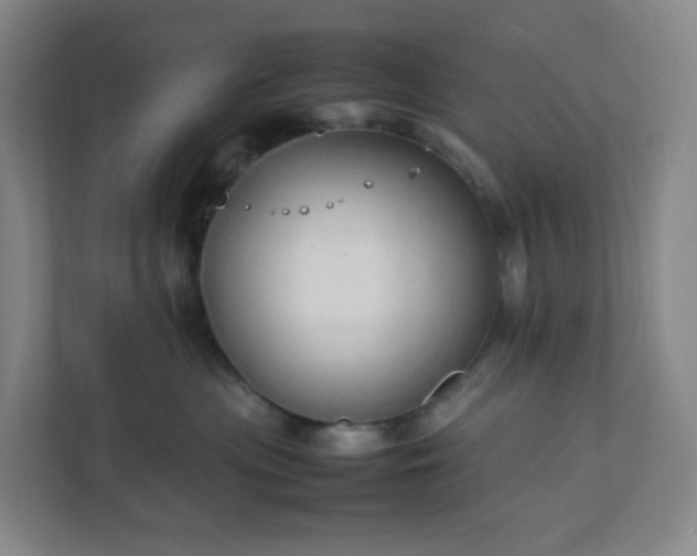 X0000111950477200908031202