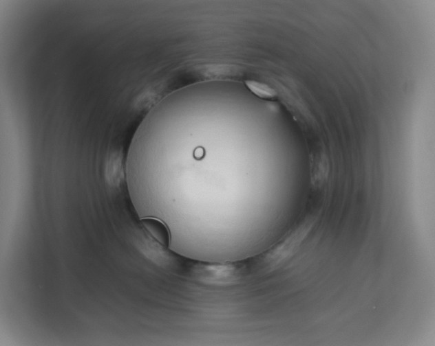 X0000111950478200908031202