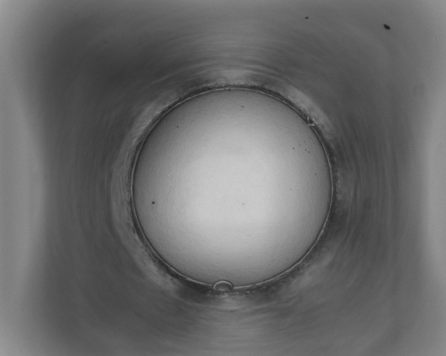 X0000111950481200908031201