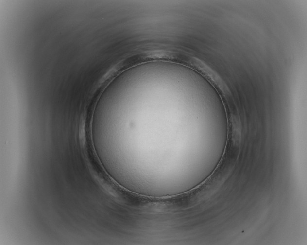 X0000111950482200908031201