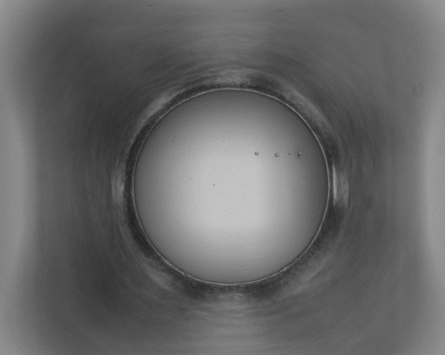 X0000111950483200908031201