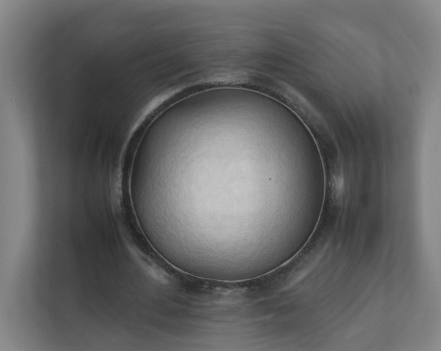 X0000111950484200908031201