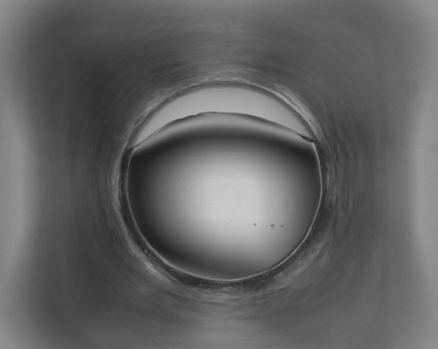 X0000111950485200908031201