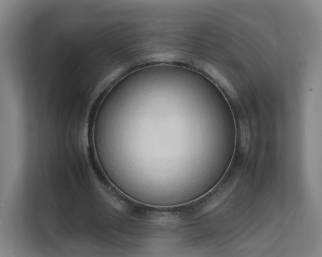 X0000111950486200908031201