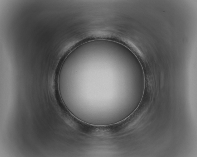 X0000111950487200908031201